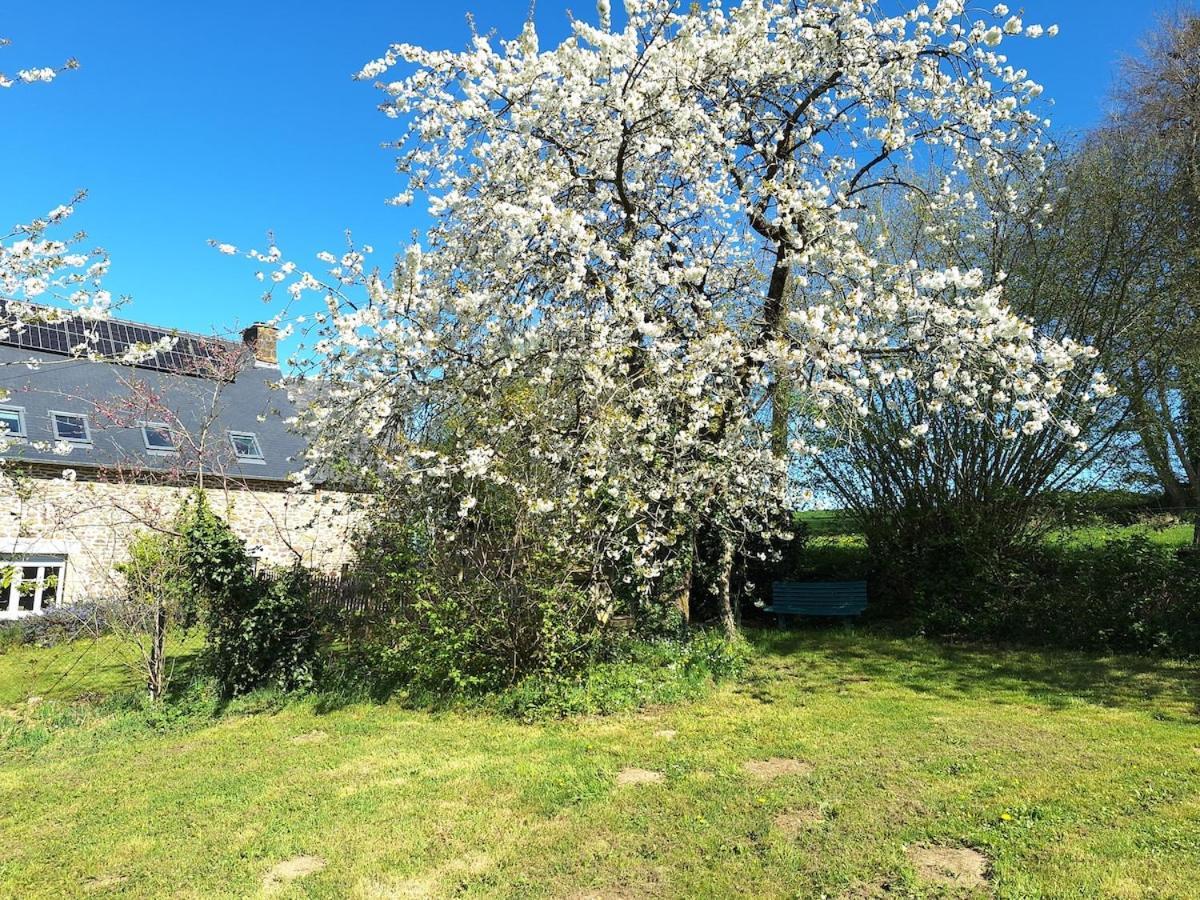 Au Lutin Pomme - Maison De Vacances Bretagne Mellé Exteriör bild